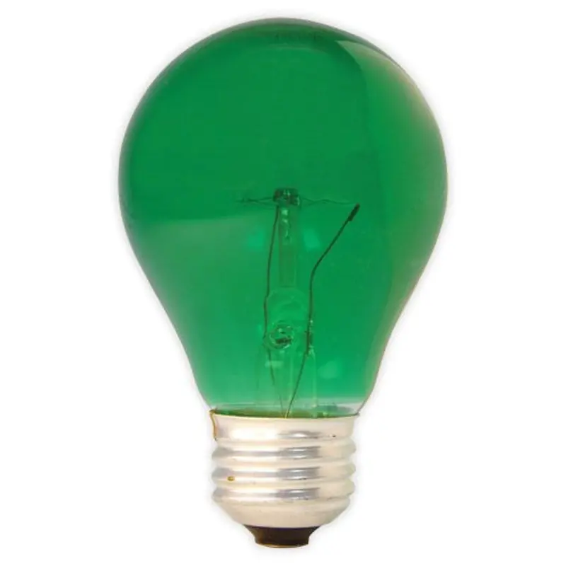 25-Watt Green A19 Party Bulb – Single Festive Lighting Option For Events & Parties 1