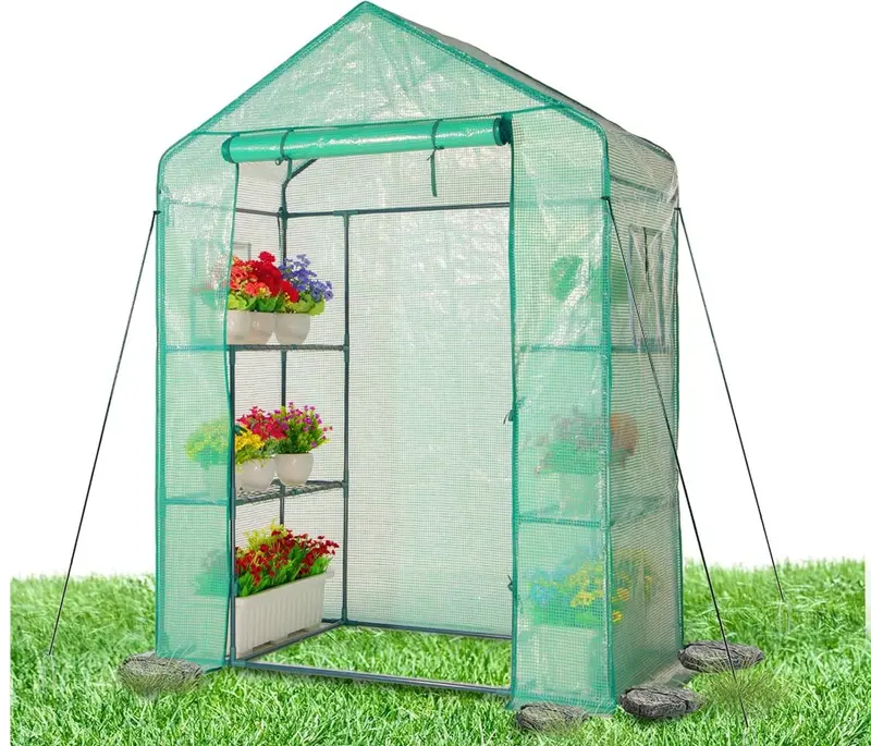 Compact Walk-In Greenhouse – Pe Cover & Powder-Coated Steel Frame (77" × 56" × 28") 1