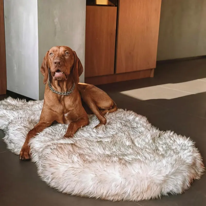 Luxury Orthopedic Dog Bed With Faux Fur Cover – Memory Foam Support In White/Brown (L/Xl) 1