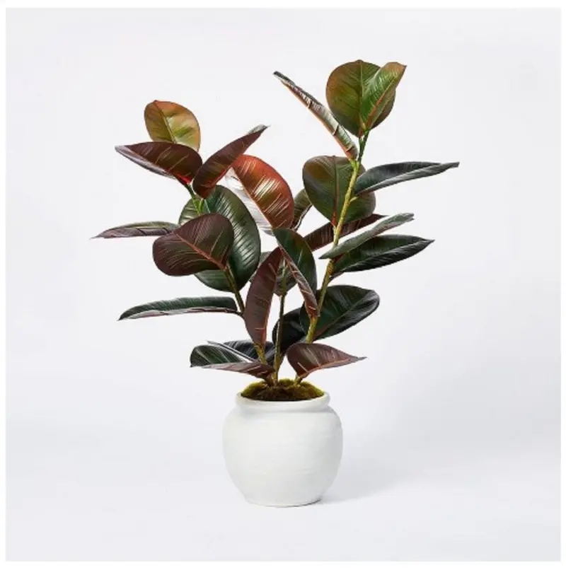 Threshold X Studio Mcgee Faux Rubber Plant – 25-Inch Tall, 6" X 4.5" Pot 1